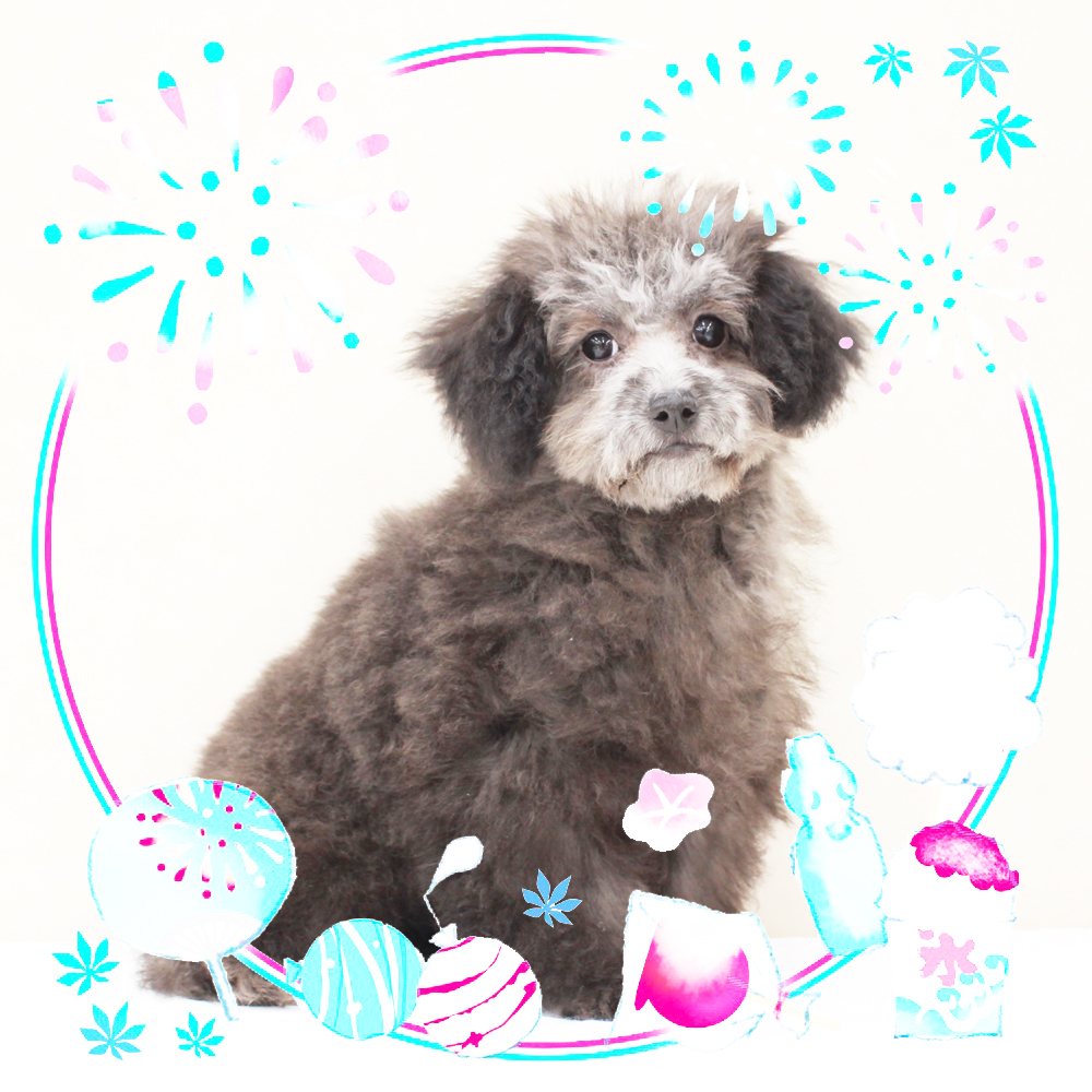 ８月で１歳になりました☆